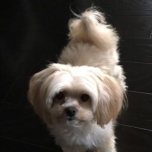 Meet your Posher, Deborah